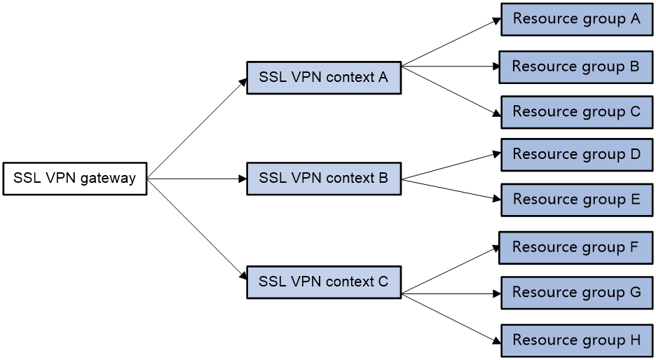 SSL VPN